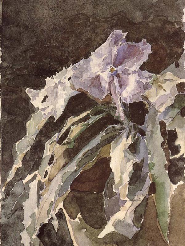 Mikhail Vrubel Orchid China oil painting art